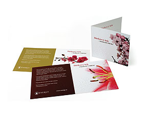 Vitae Premium