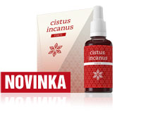CISTUS INCANUS