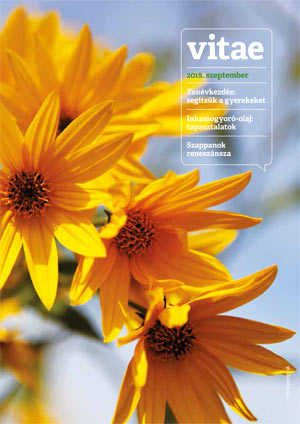 Vitae Magazin