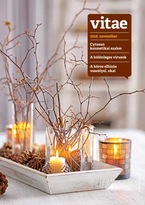 Vitae Magazin