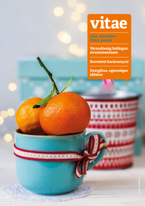 Vitae Magazin