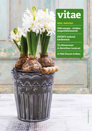 Vitae Magazin