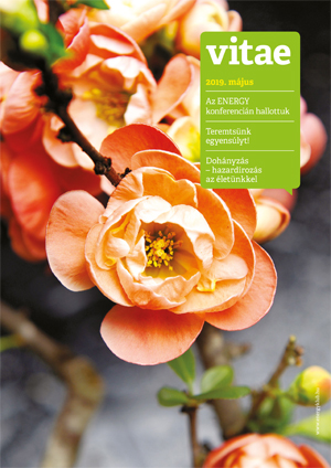 Vitae Magazin