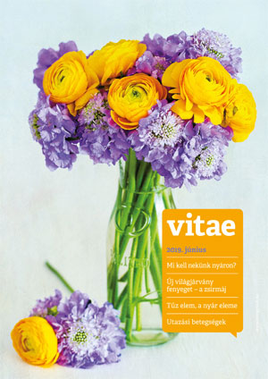 Vitae Magazin