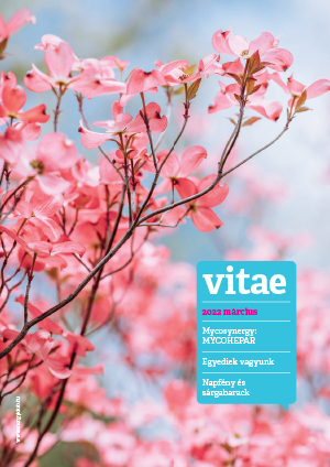 Vitae Magazin