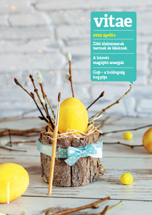 Vitae Magazin