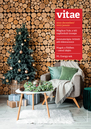 Vitae Magazin