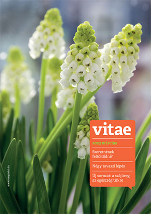 Vitae Magazin