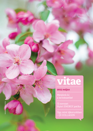 Vitae Magazin