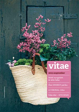 Vitae Magazin