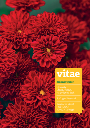 Vitae Magazin