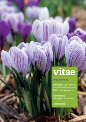 Vitae Magazin