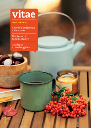 Vitae Magazin